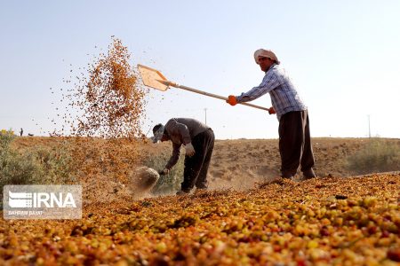 اختصاص یک‌ میلیارد دلار به طرح ۵۵۰ هزار هکتاری خوزستان